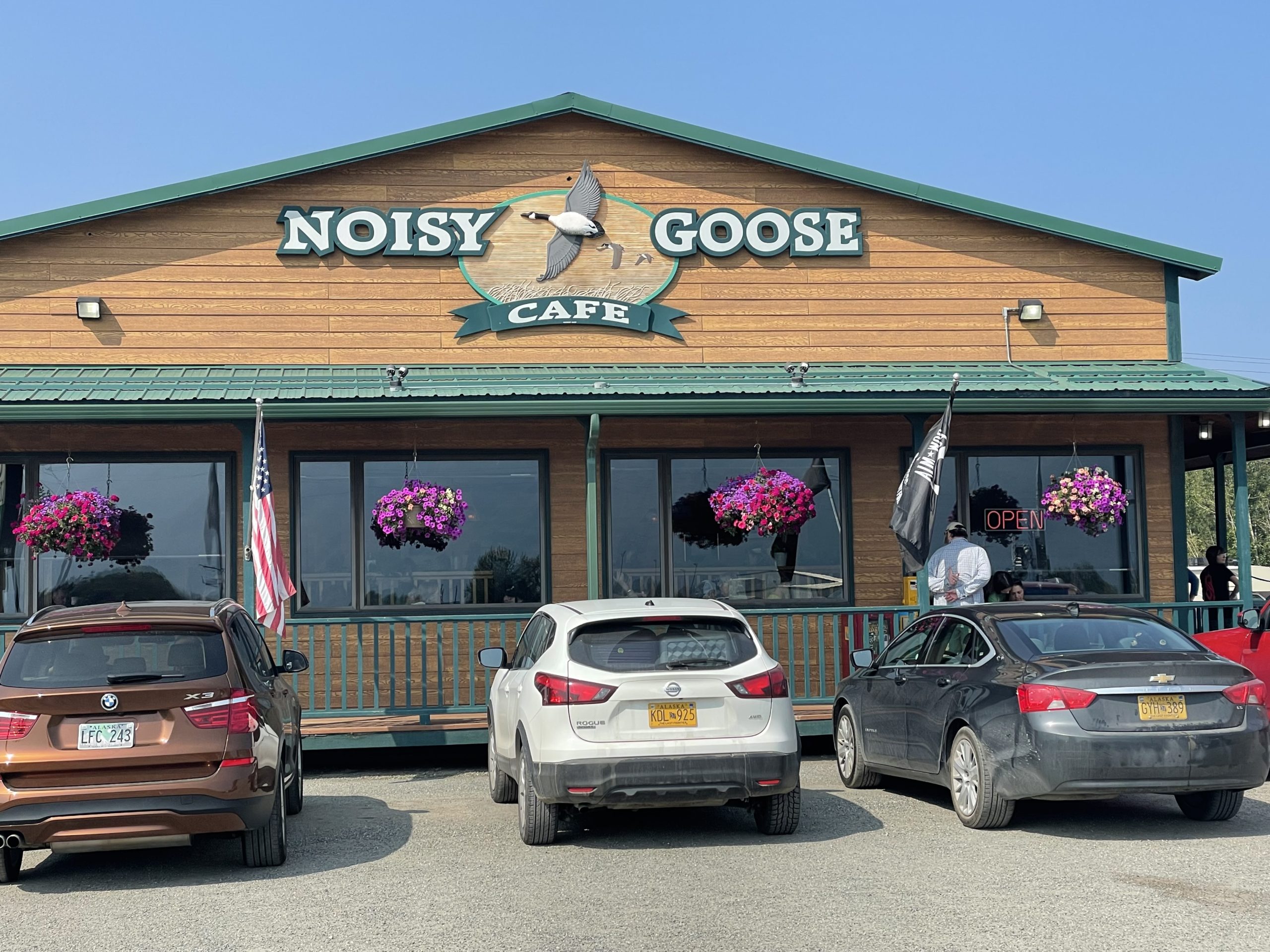 Noisey Goose Alaska