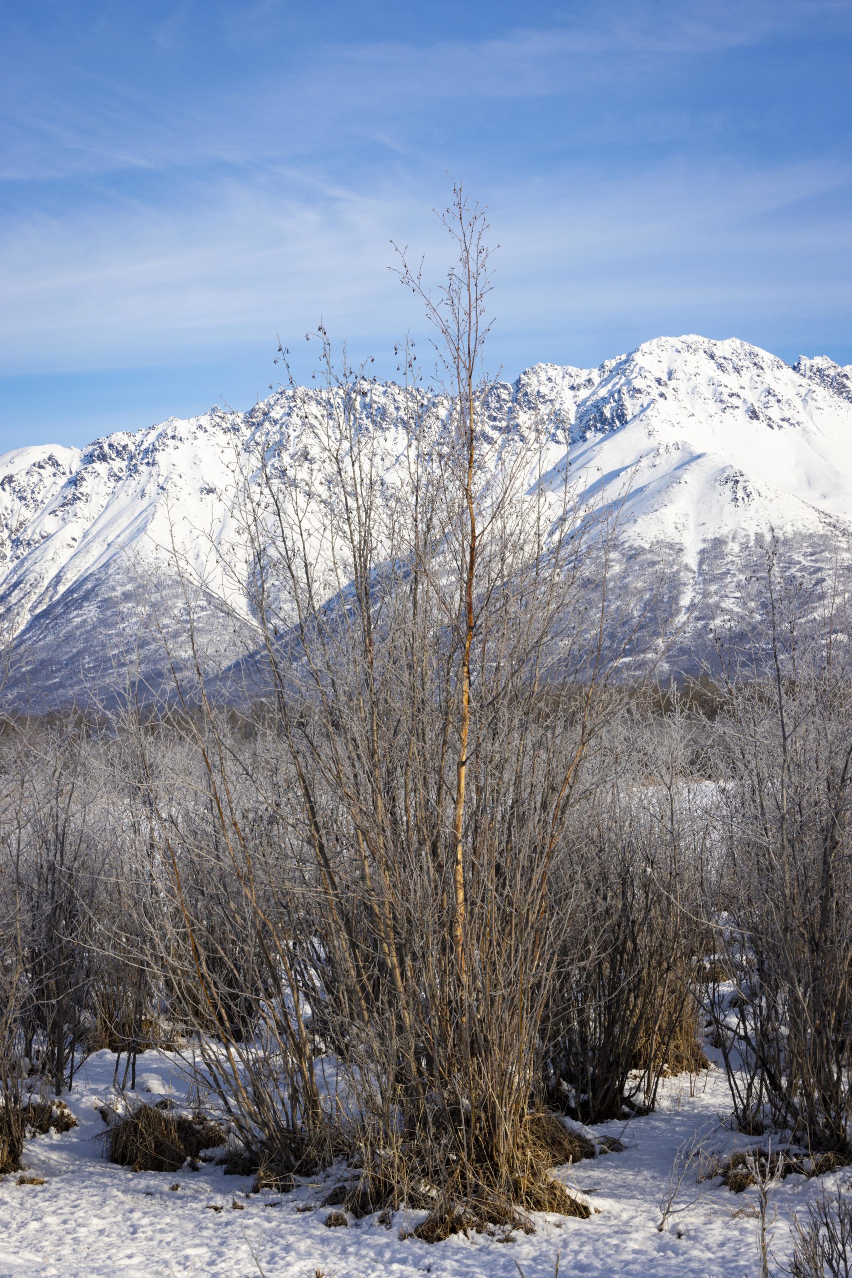 mountain view in Alaska