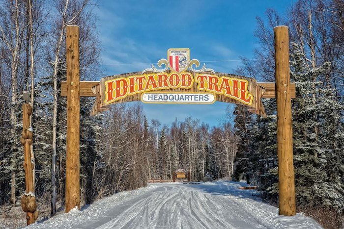 Iditarod-Trail-Dog-Sled-Rides